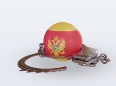 U Crnoj Gori uhapšen državljanin Turske po interpolovoj poternici