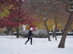 Sneg pao širom Hrvatske, automobili zaglavljeni u snegu kod Splita i Klisa