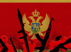 Dobrovoljno predato više od 4.000 komada oružja od početka godine