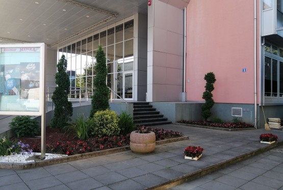 "Povratak Žikine dinastije": Filmska groznica u Gradišci