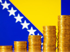 Devizne rezerve iznose oko 9,35 milijardi evra