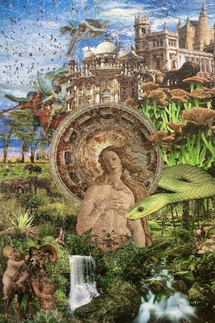 Izložba „Izvor“ Biljane Mišić na Kolarcu