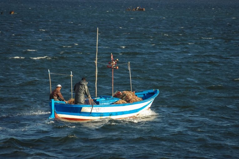ŠOK U JADRANSKOM MORU! Ribari van sebe kad su videli STVORENJE KOJE JE IZAŠLO IZ VODE: Sija kao srebro, izgleda kao KAIŠ! Evo šta je USLEDILO (VIDEO)