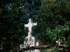 Sud upisao imovinu SPC kao vlasništvo države BiH