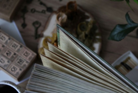 Počinje "Zimovanje u biblioteci", svi programi namijenjeni djeci