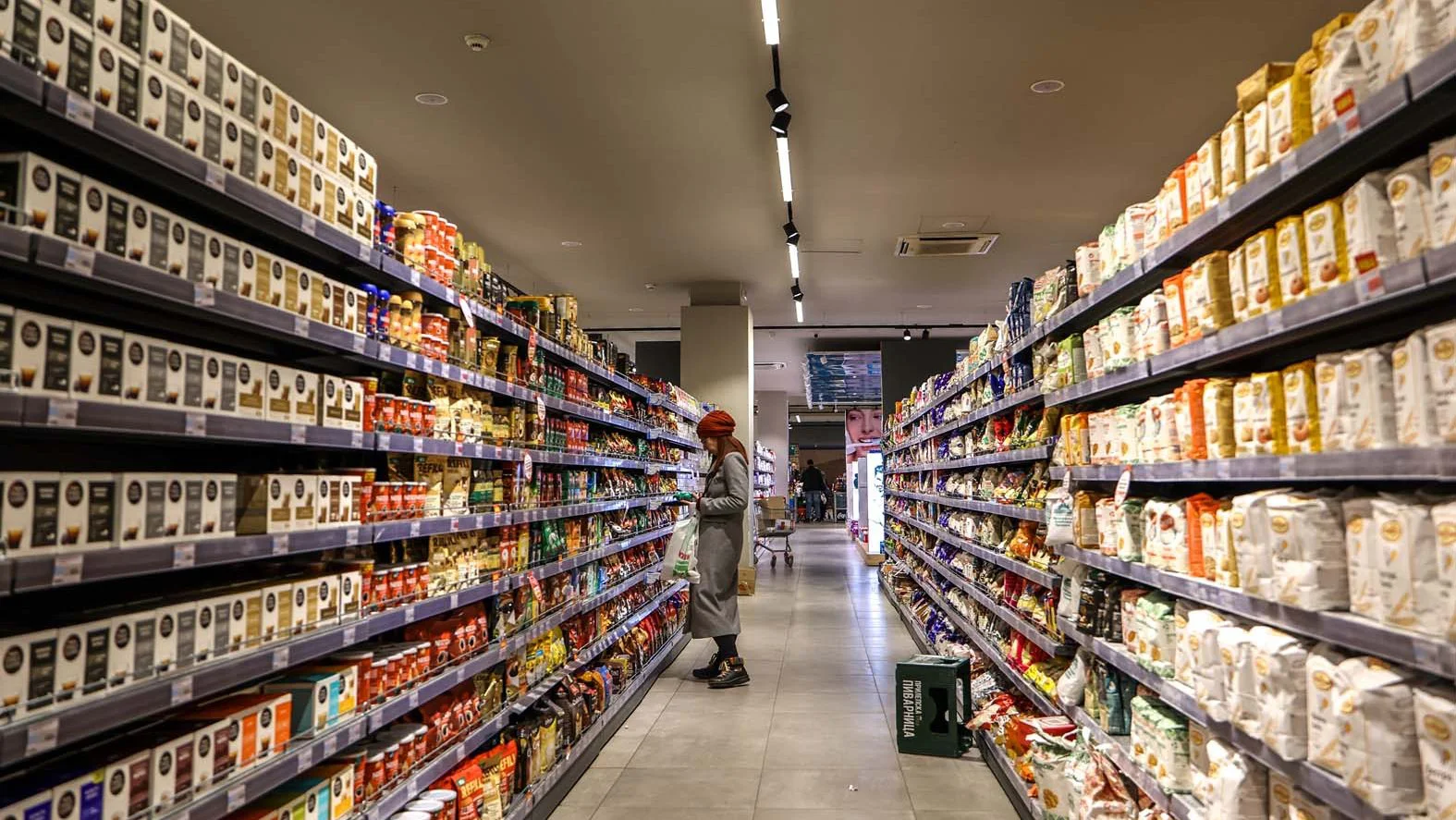 „Ispada da smo zaklali vepra za jednu pljeskavicu“: Delez tužio Srbiju zbog ograničenja marži, stručnjaci ukazuju na brojne propuste – Ekonomija