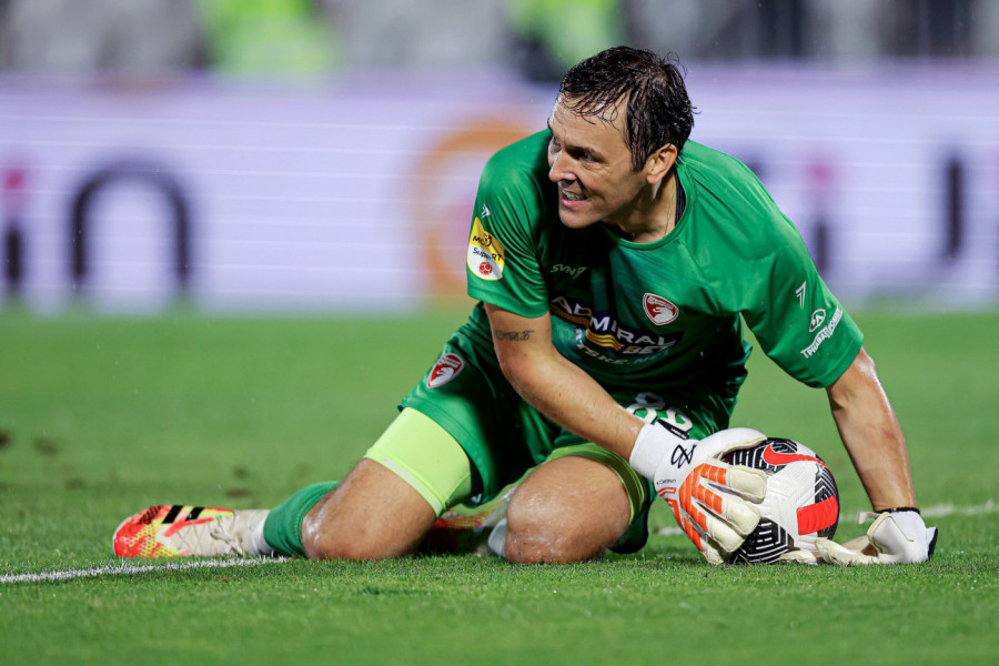 ŠTA TO URADI?! Neverovatan kiks Vladimira Stojkovića koji ćete morati da pogledate bar nekoliko puta! (VIDEO)