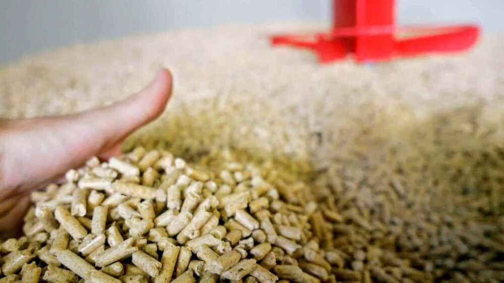 Profesor Glavonjić savetuje: Pelet kupujte na vreme i tokom cele godine da biste uštedeli – Ekonomija
