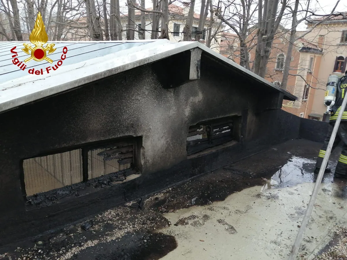 (VIDEO) Požar na krovu paviljona Srbije u Veneciji – Vesti iz Srbije, regiona i sveta