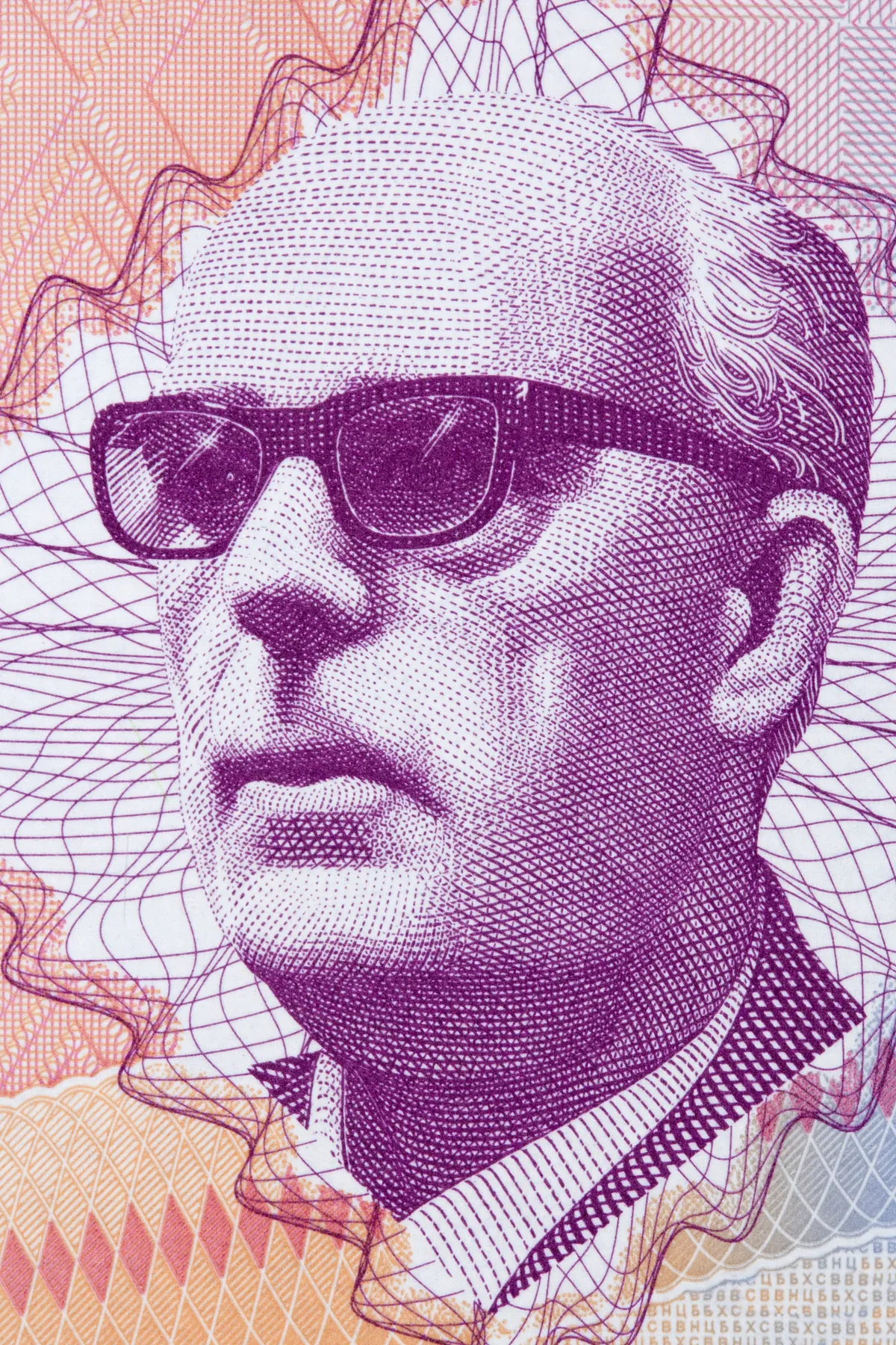 Pesniku i esejisti Nenadu Šaponji nagrada "Meša Selimović" za 2025. godinu