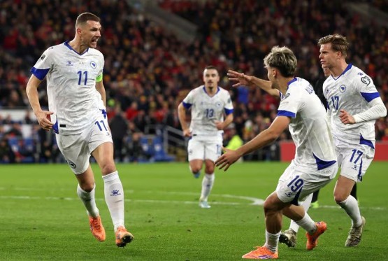 BiH nakon penala izbacila Vels