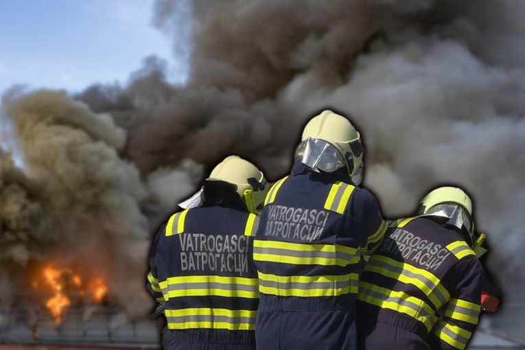 VELIKI POŽAR NA BEŽANIJSKOJ KOSI! Gori objekat usred šume, vatra zahvatila i zelenilo!