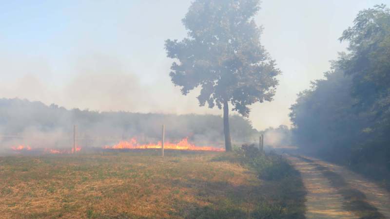 Ministarstvo poljoprivrede apelovalo da se ne pali strnjika – Ekonomija