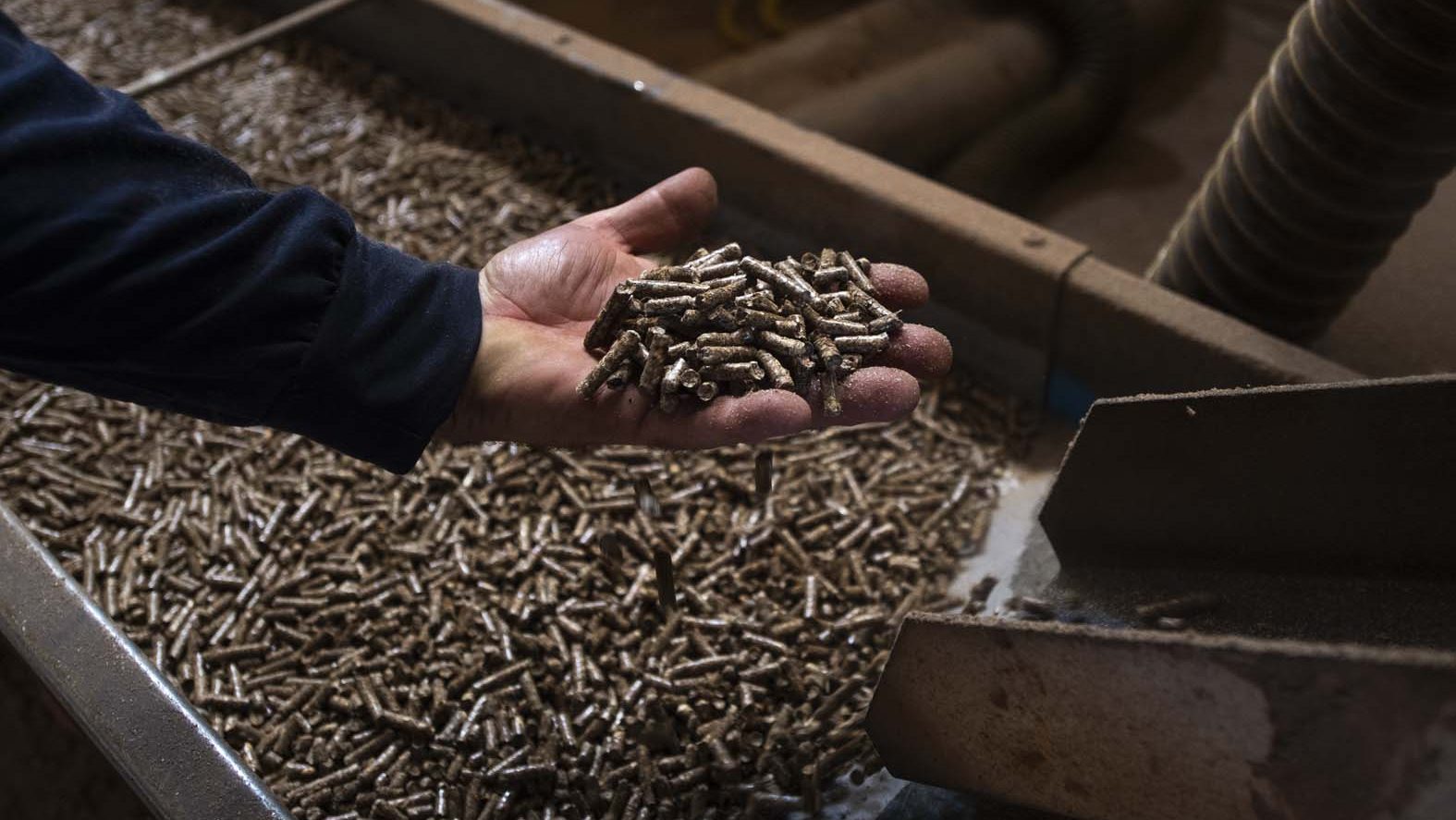 Tržište peleta se stabilizovalo, cena oko 37.000 dinara po toni – Ekonomija