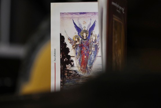 Knjiga "Ples među podsjenama" predstavljena i u Zenici