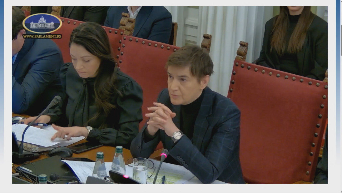 Brnabić: Opozicija opstruira evropske zakone