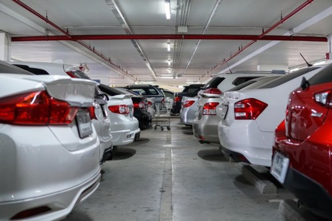 Automobil kao leglo štetočina