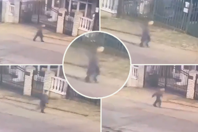 NEPRIMETNO IZAŠAO IZ KUĆE, BOS HODAO PO ASFALTU, PA UŠAO U HOSTEL! Detalji nestanka dečaka (6) u Nišu: Evo šta je radio dva i po sata!