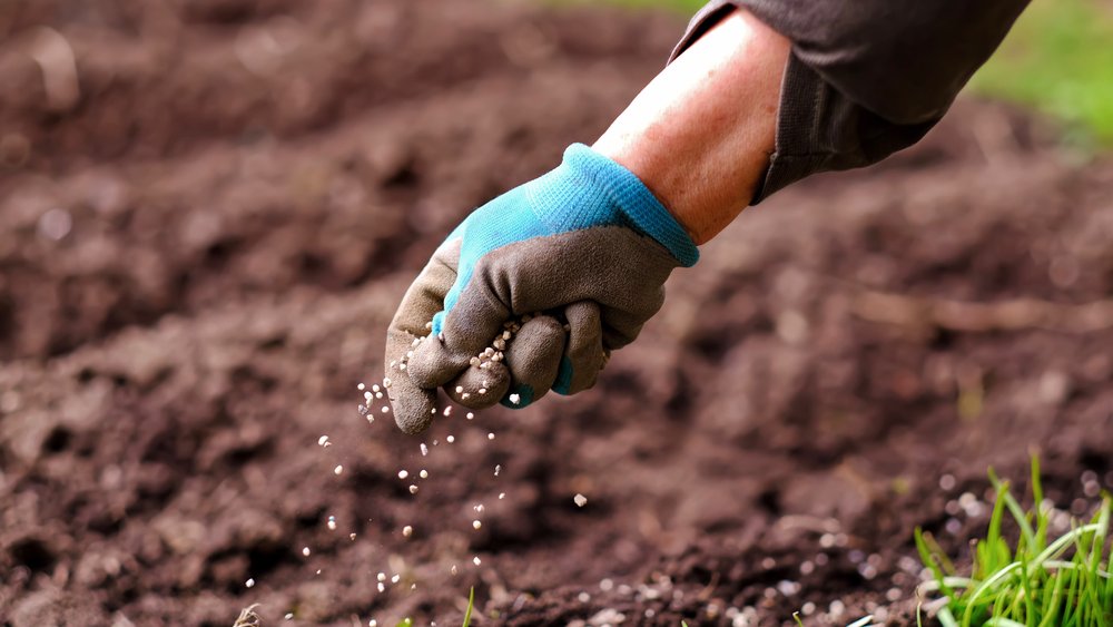 Poljoprivrednici Srbije: Mineralnih đubriva ima dovoljno, ali je skupo i rastu troškovi proizvodnje – Ekonomija