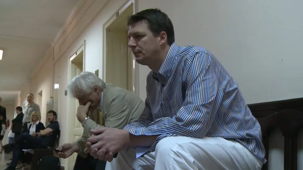 Andrej Vučić je funkcioner SNS, aktivno i javno učestvuje u političkom životu Srbije