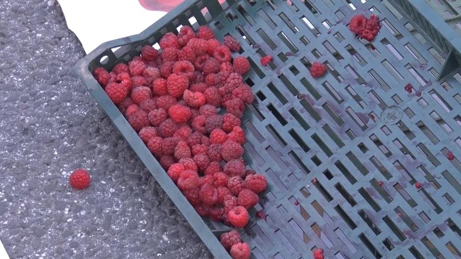 Maline iz Srbije zaustavljene u Francuskoj zbog previše kadmijuma