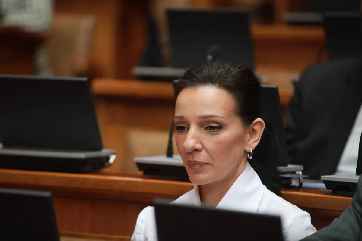Tepić: Formiraćemo Nacionalni fond za povratak opljačkanog novca