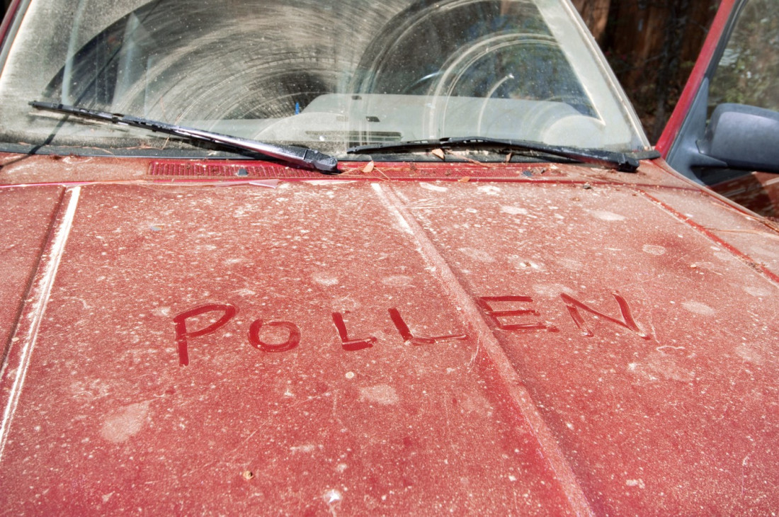 Kako polen može da ošteti automobil?